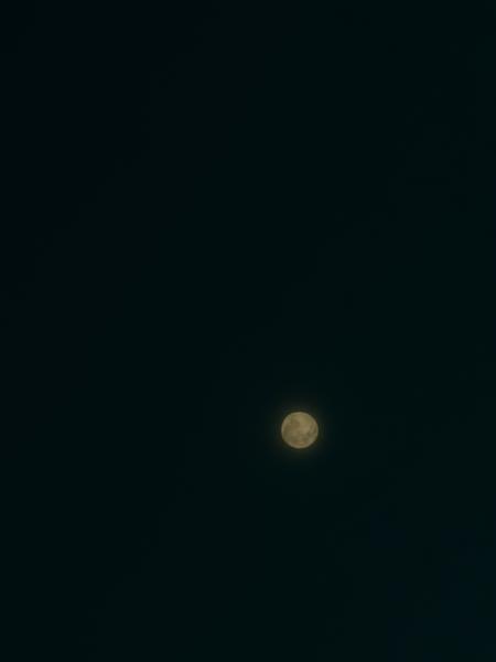 A luminous full moon shines brightly against a deep, dark night sky